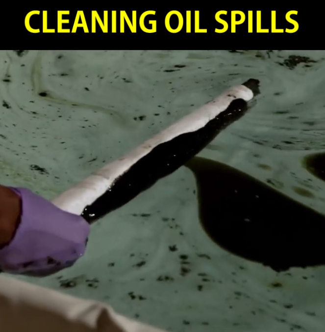 cleaning_ oil_ spills